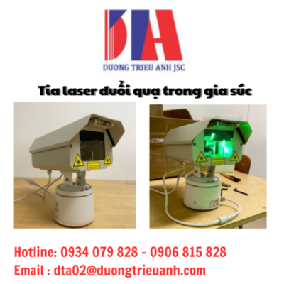 dai-ly-tia-laser-duoi-qua-trong-gia-suc
