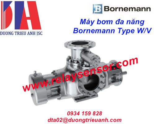 Máy bơm đa năng Bornemann Type W/V