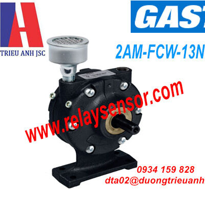 Động cơ Gast 2AM-FCW-13NLP