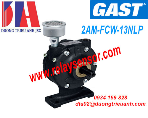Động cơ Gast 2AM-FCW-13NLP