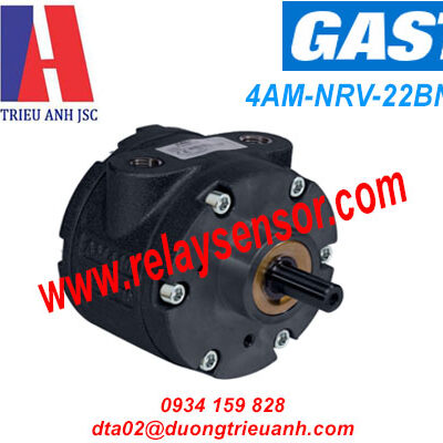 Động cơ GAST 4AM-NRV-22BNLP