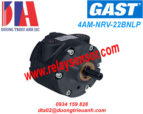 Động cơ GAST 4AM-NRV-22BNLP