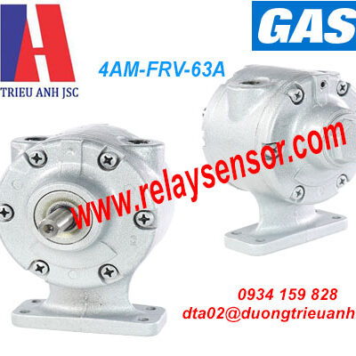 Động cơ Gast 4AM-FRV-63A