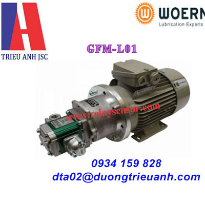 Bơm bánh răng woerner GFM-L01
