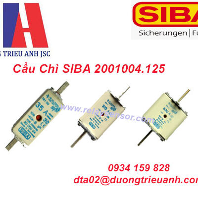 Cầu Chì SIBA 2001004.125