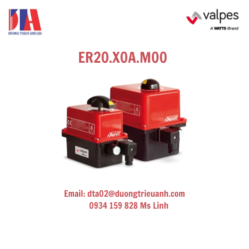 ER20.X0A.M00_daily_vietnam_chinhhang