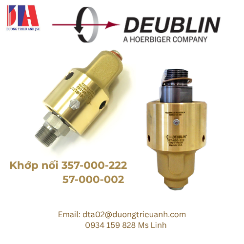 khop noi deublin_chinhhang_tai_VN